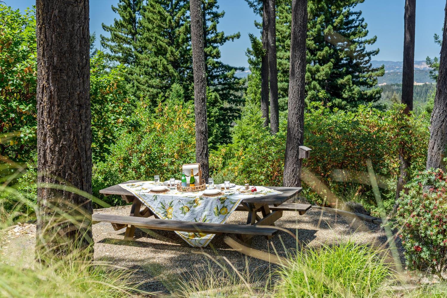 MLS #325055488 img 41