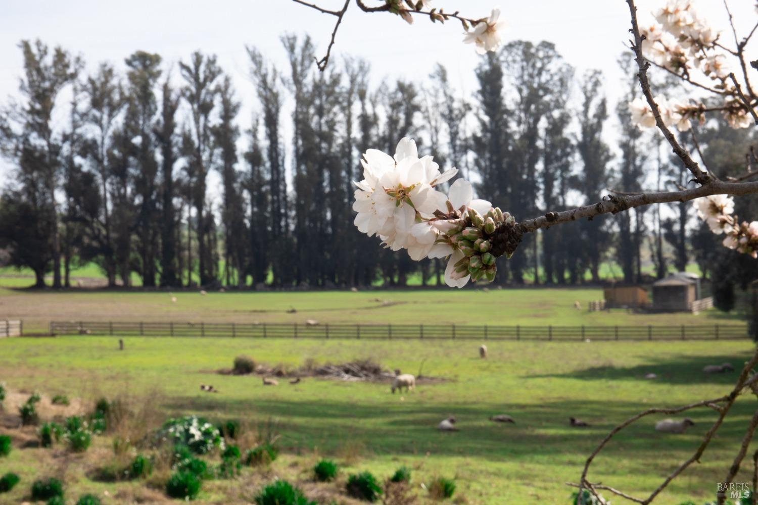 MLS #325080155 img 25