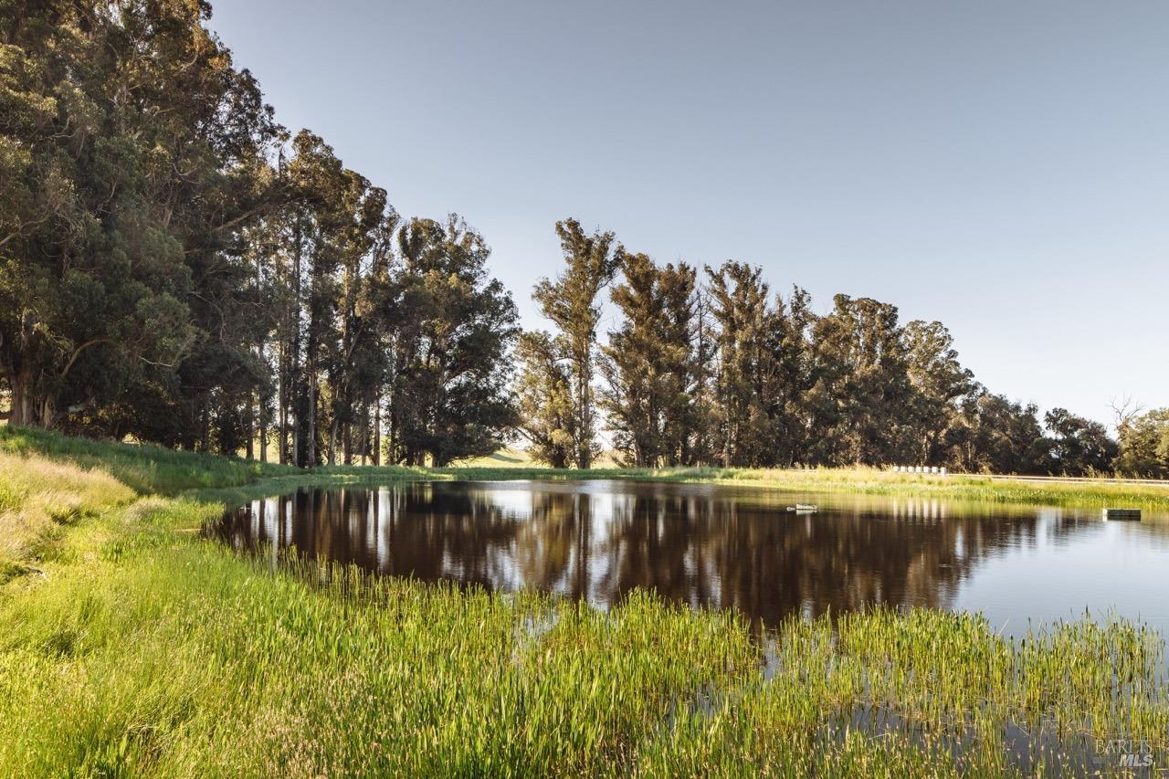 MLS #325080155 img 53