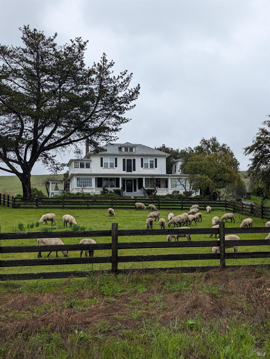 MLS #325080155 img 65