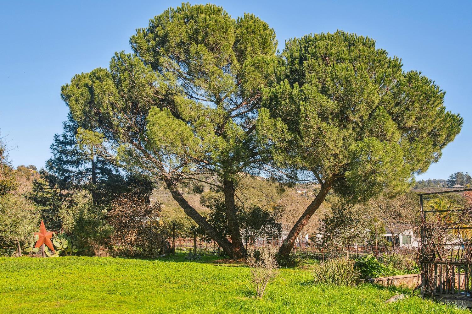 MLS #325080492 img 37