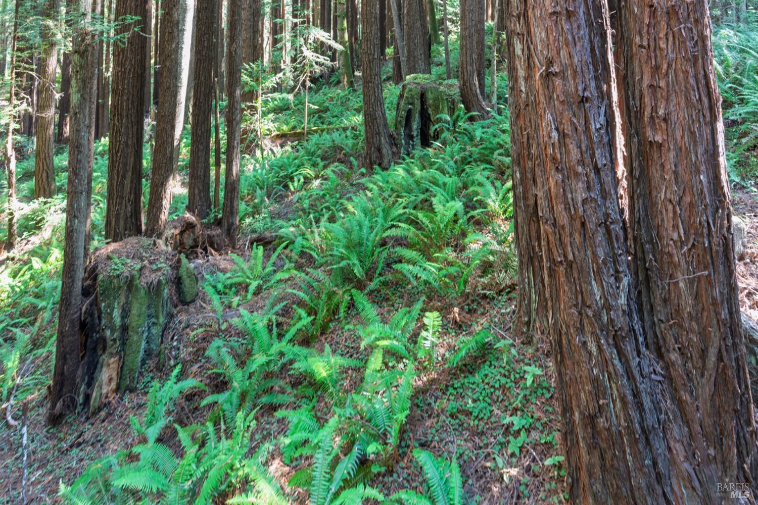 MLS #325088303 img 22