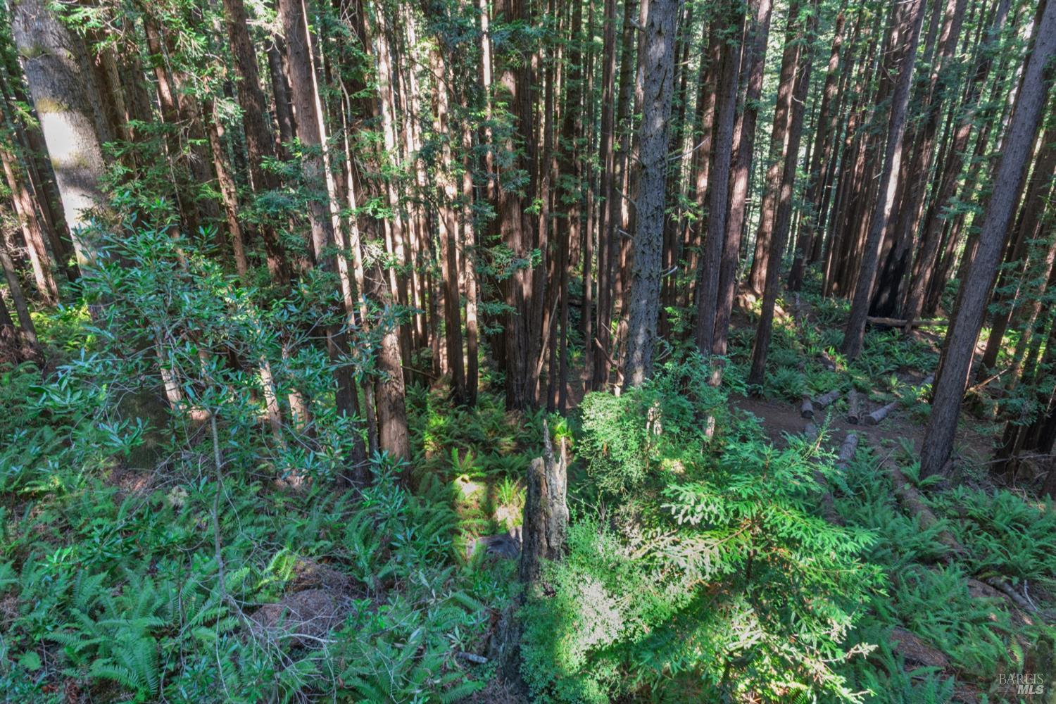 MLS #325088303 img 23