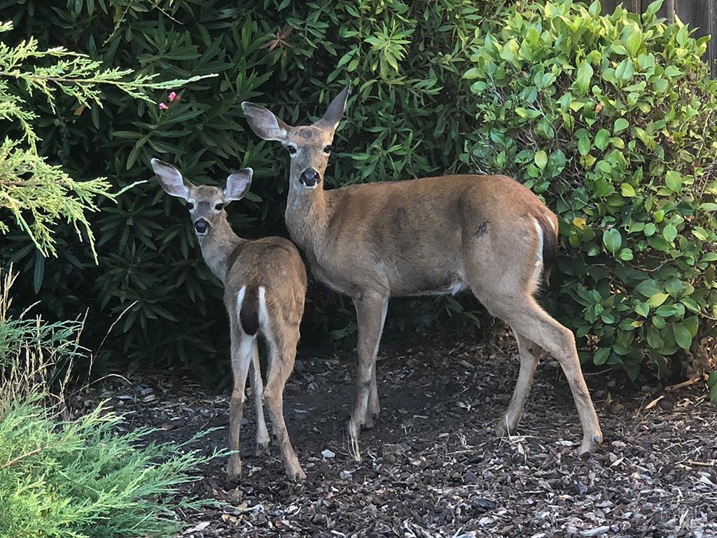 MLS #325088303 img 27