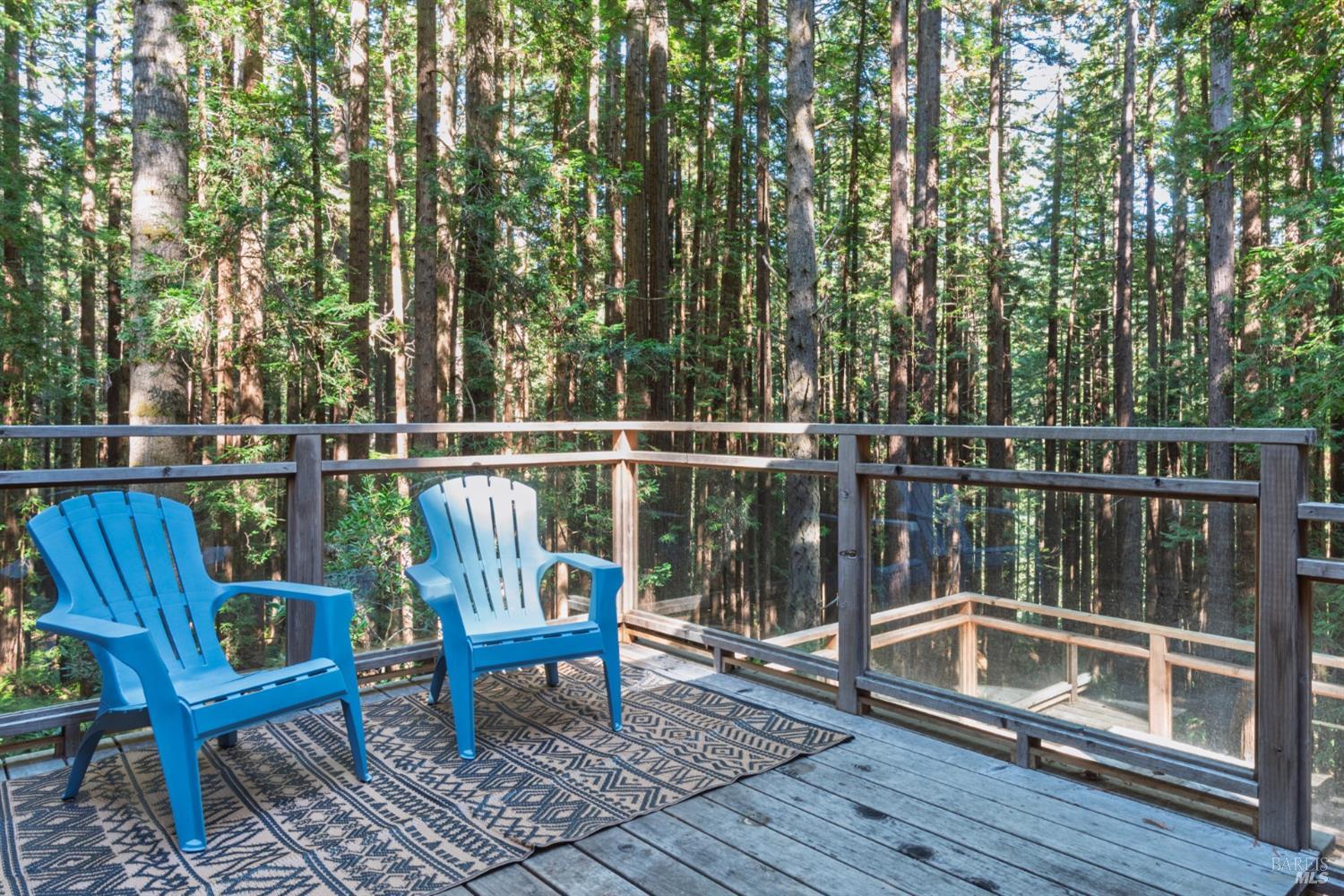 MLS #325088303 img 5