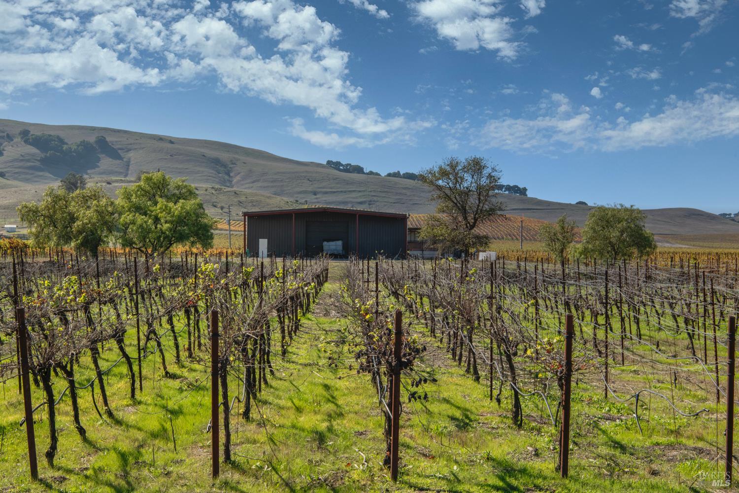 MLS #325096365 img 67