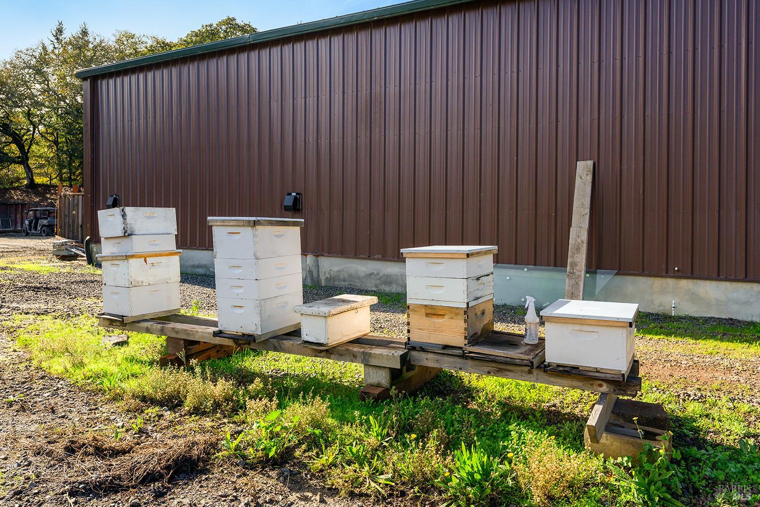 MLS #325098838 img 46