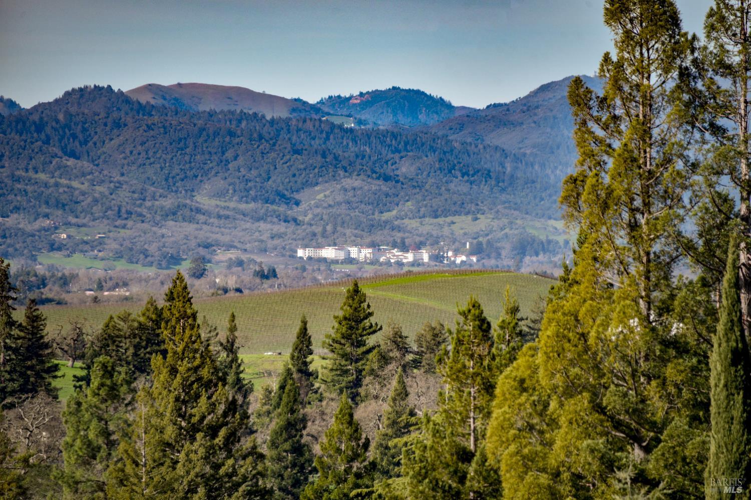 MLS #325100811 img 21