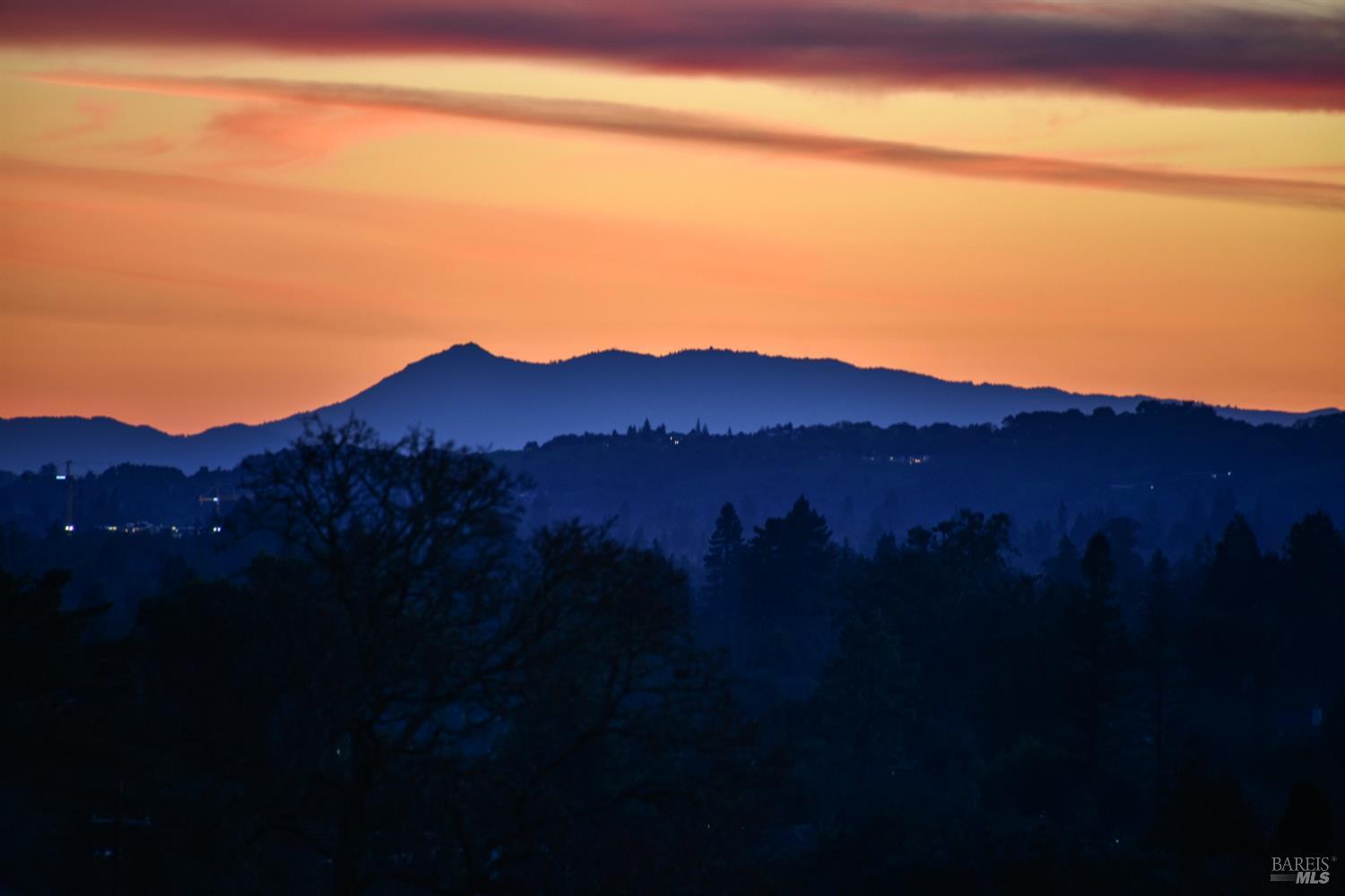 MLS #325100811 img 24