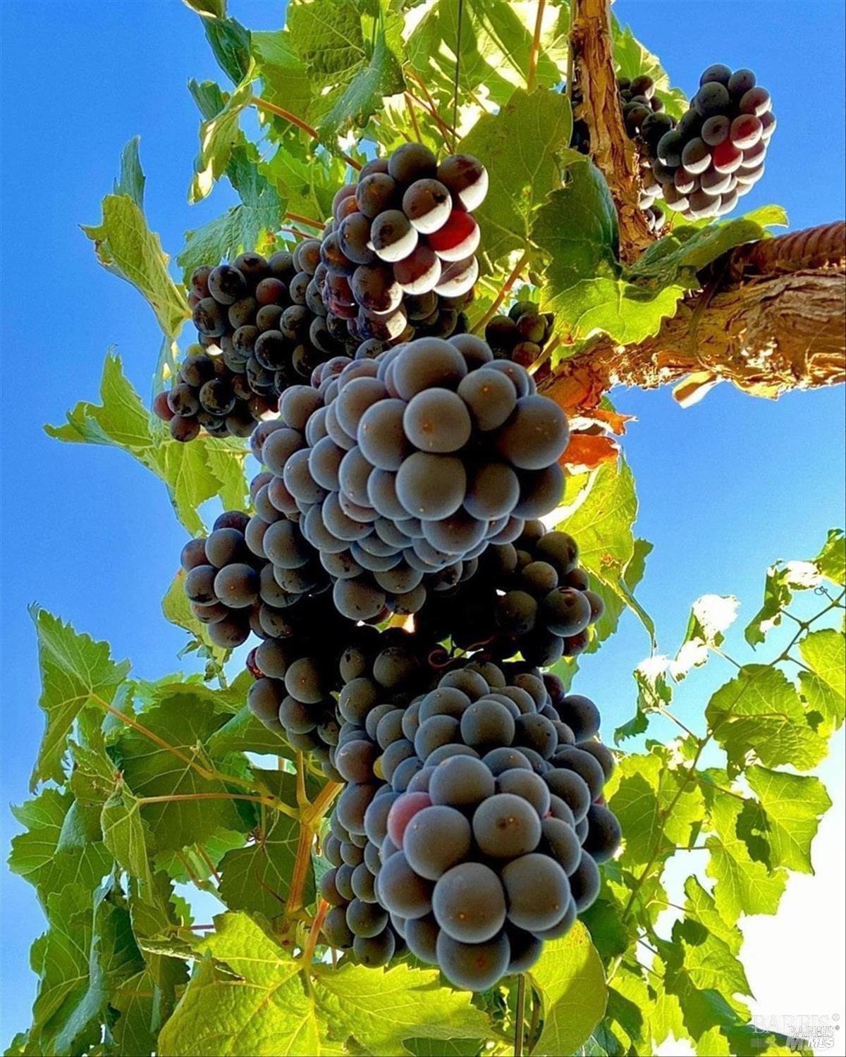 MLS #325101220 img 48