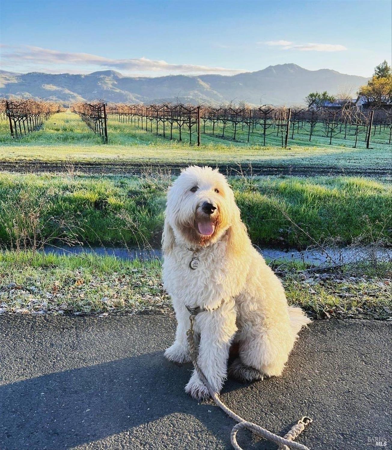 MLS #325101220 img 51