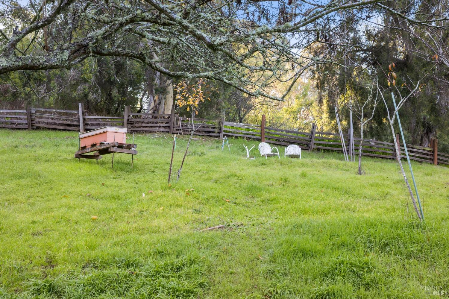 MLS #325103851 img 44