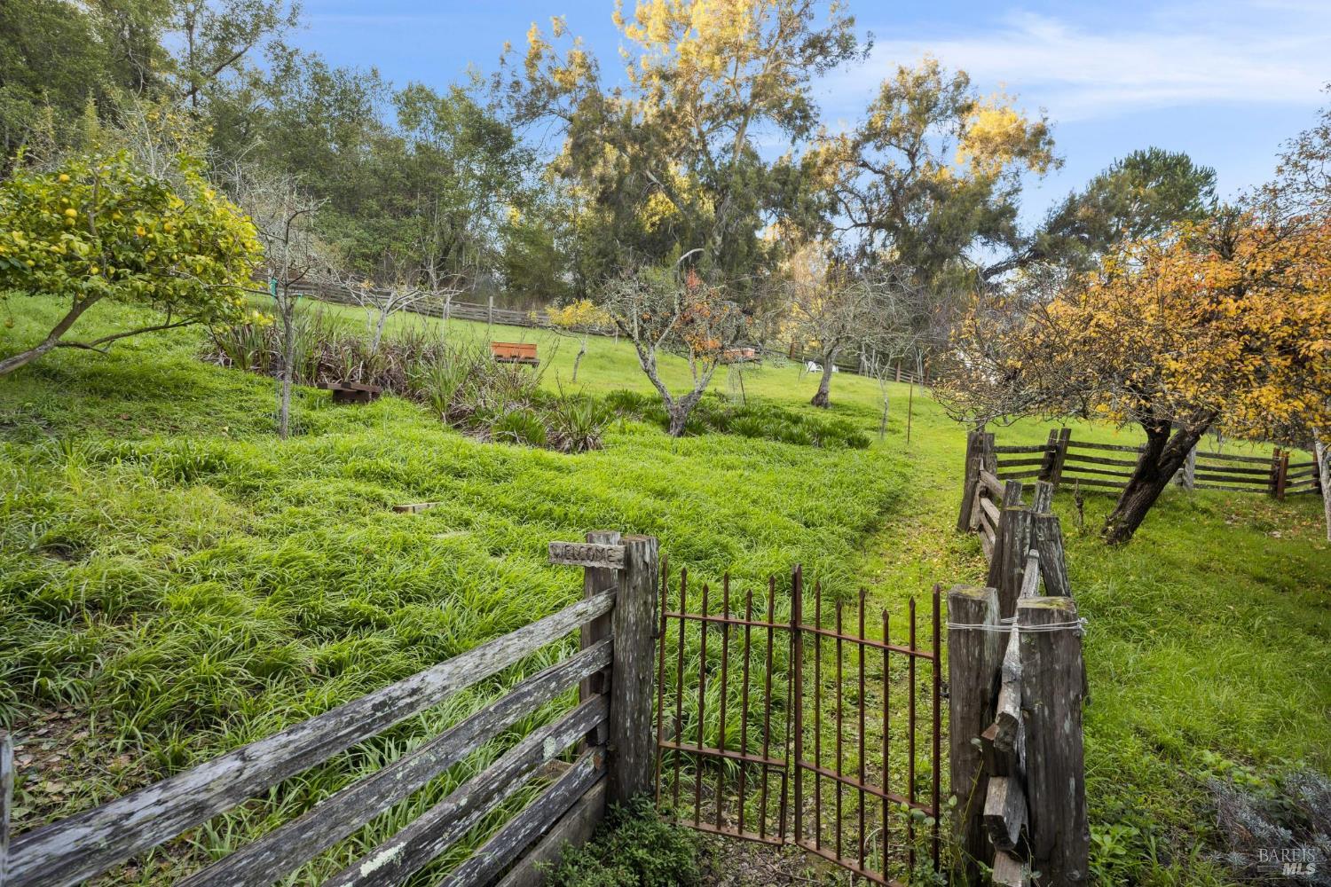 MLS #325103851 img 6