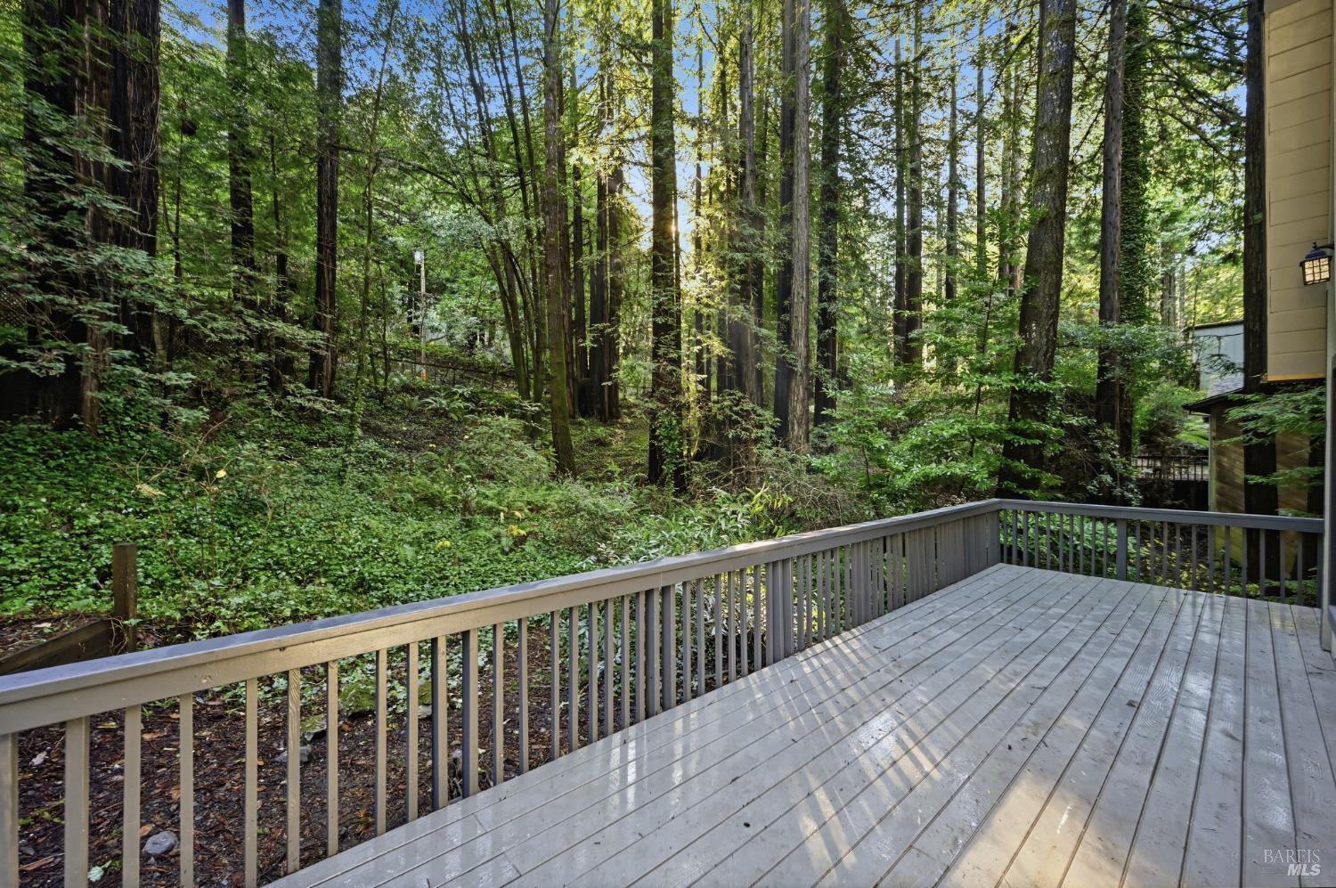 MLS #325104531 img 16