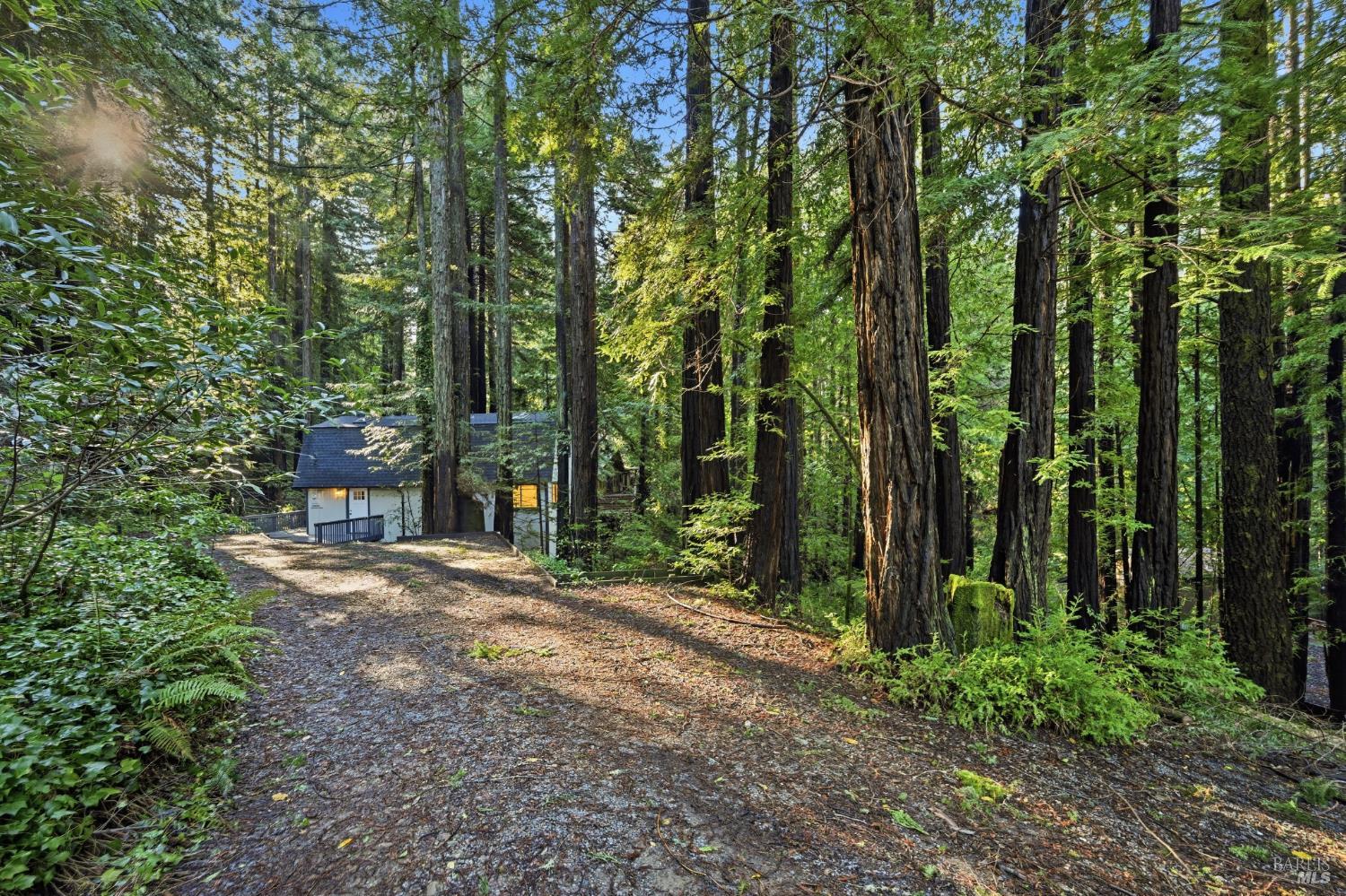 MLS #325104531 img 19