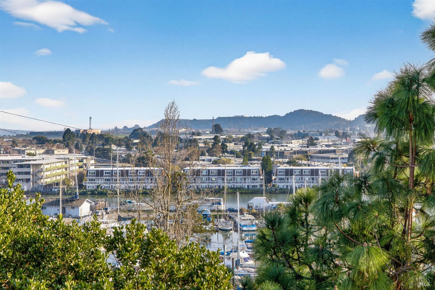 MLS #326002154 img 61