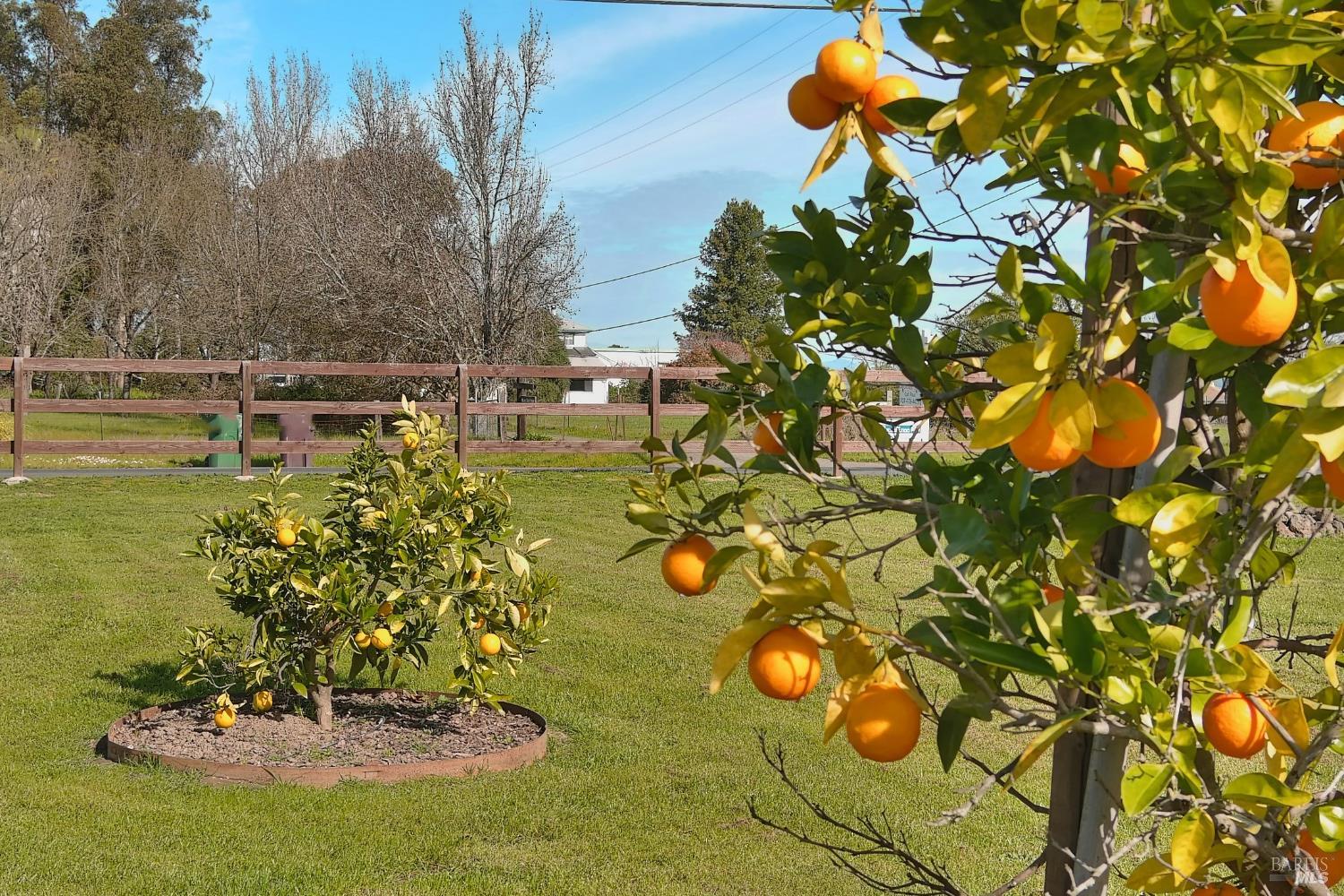 MLS #326008523 img 8