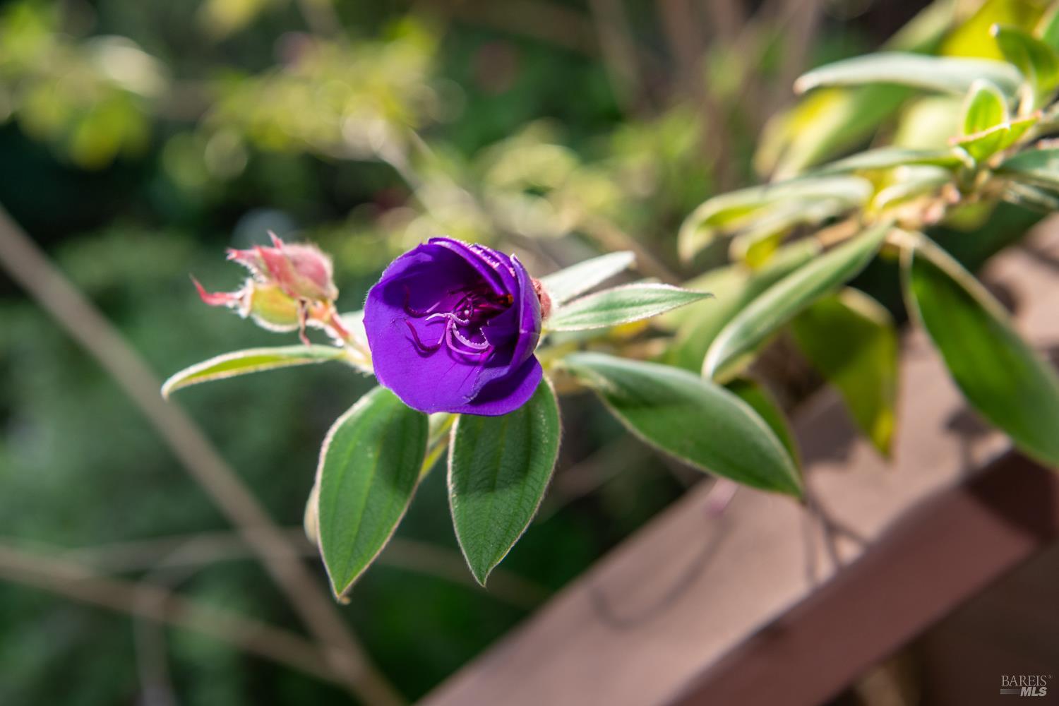 MLS #326010084 img 40