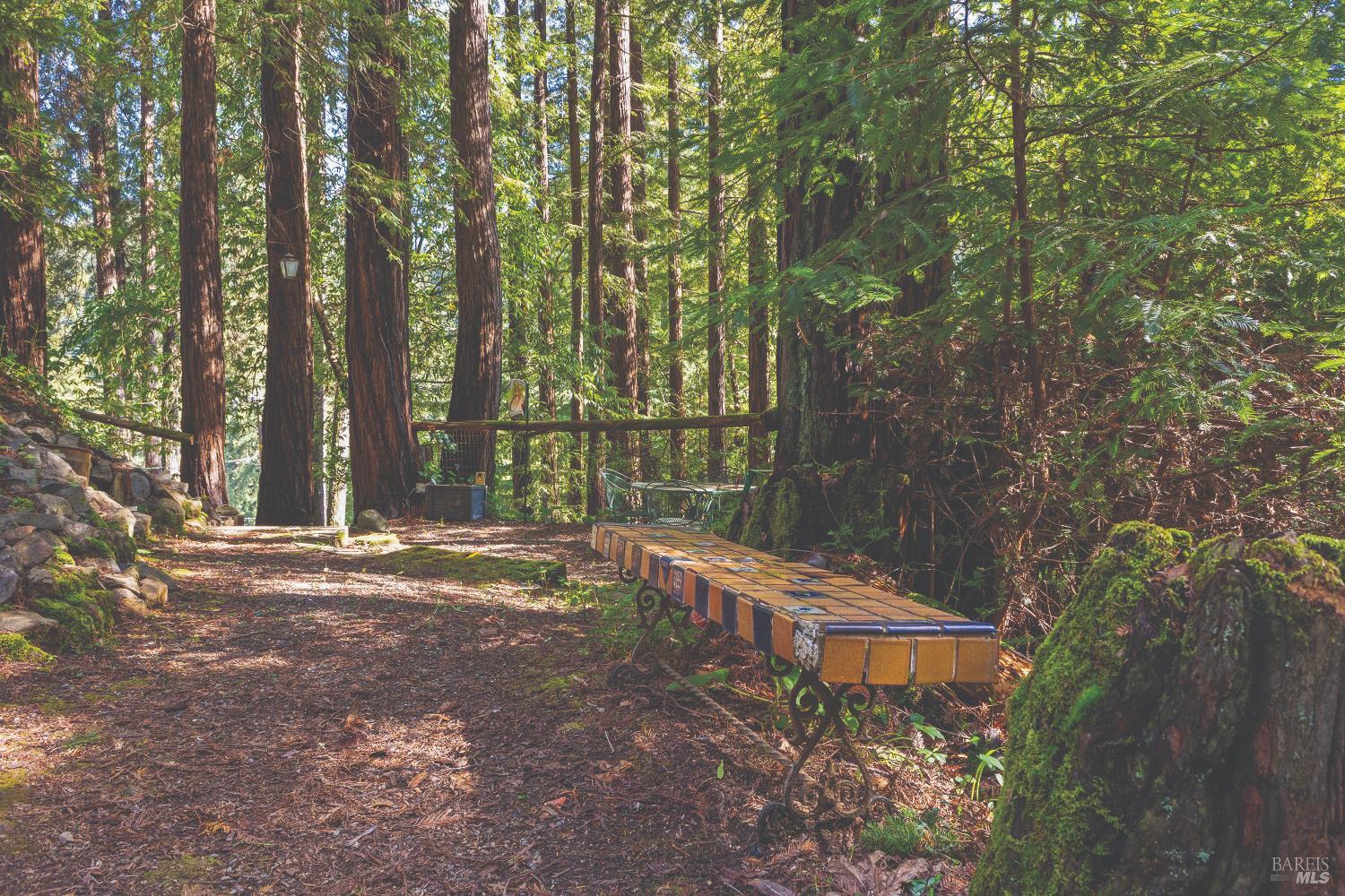 MLS #326015061 img 53