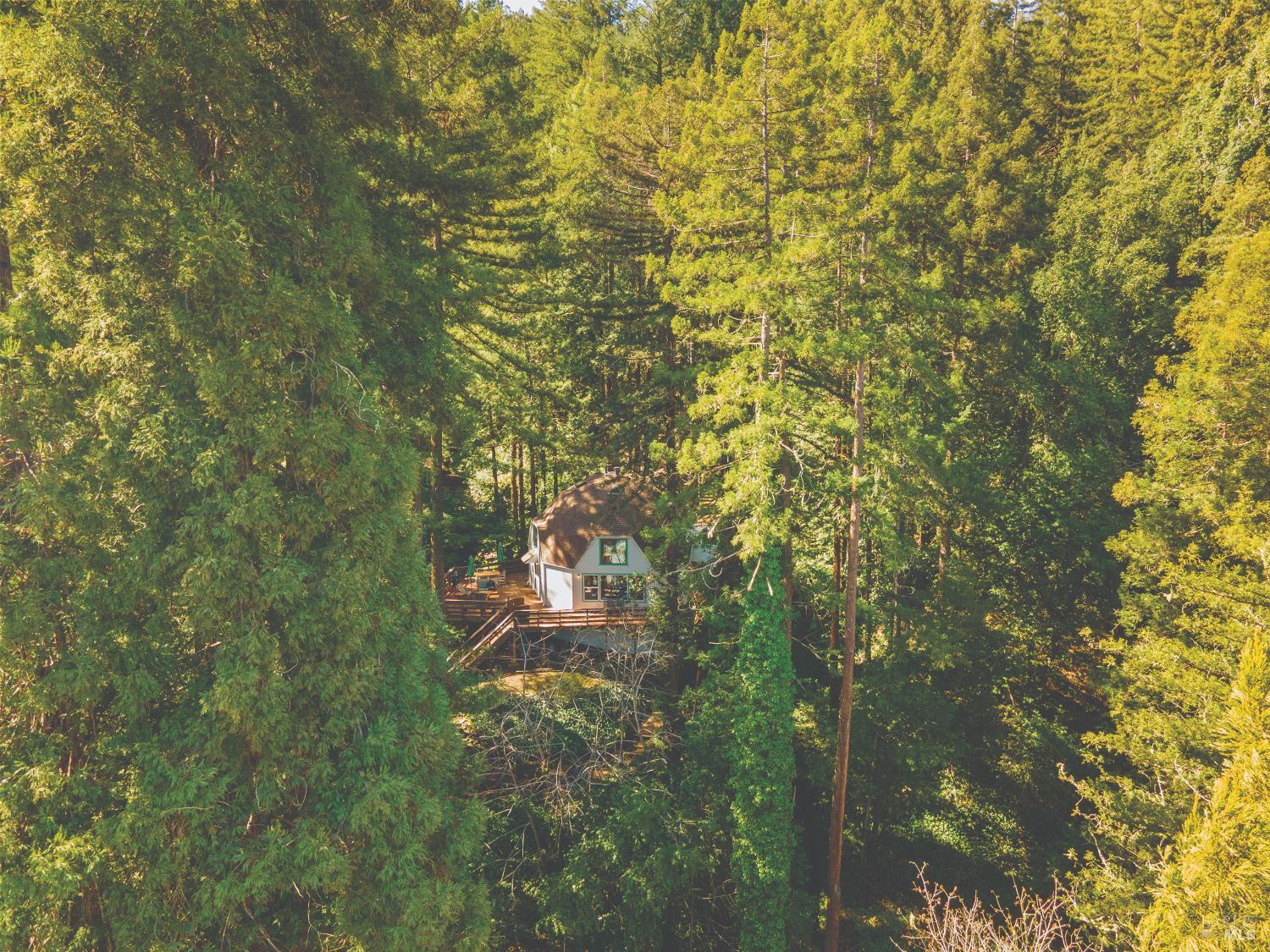 MLS #326015061 img 75