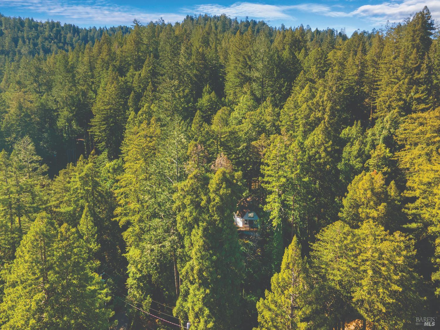 MLS #326015061 img 76