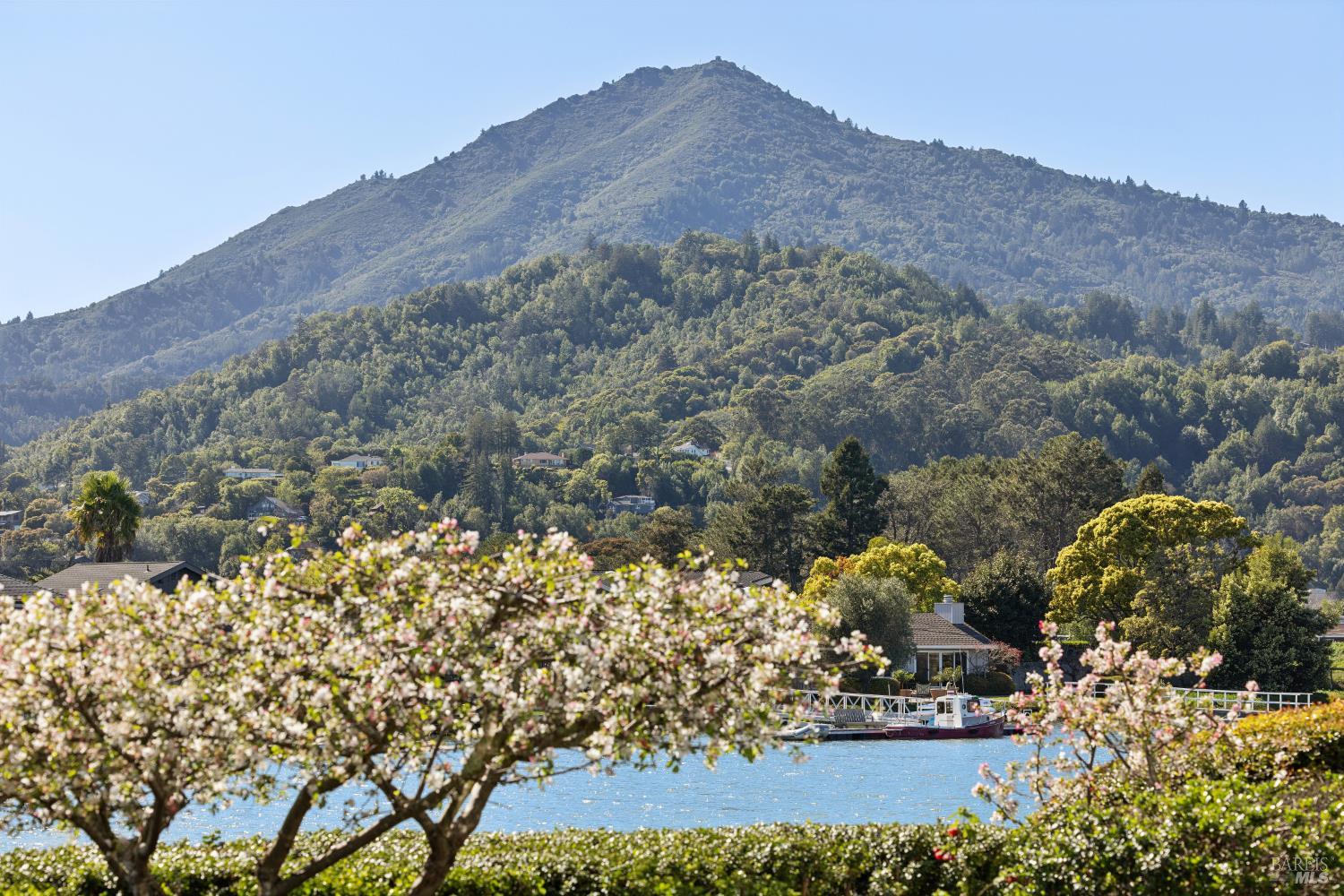 MLS #326016612 img 8