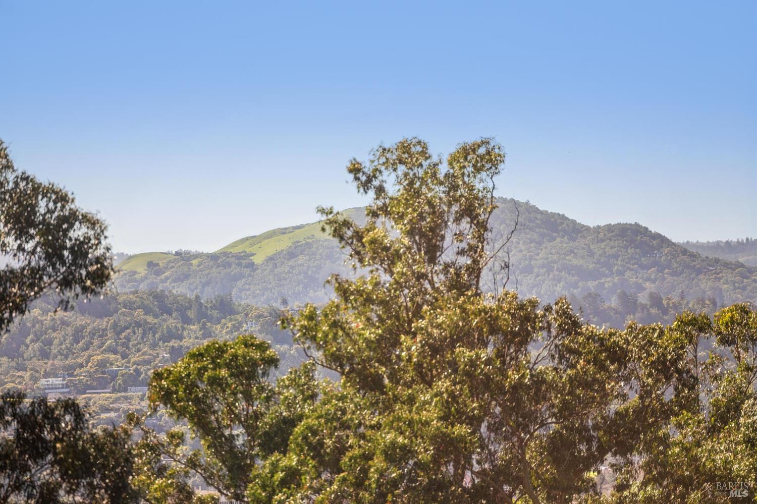 MLS #326017871 img 25