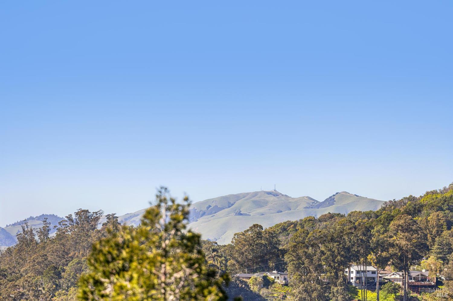 MLS #326017871 img 28