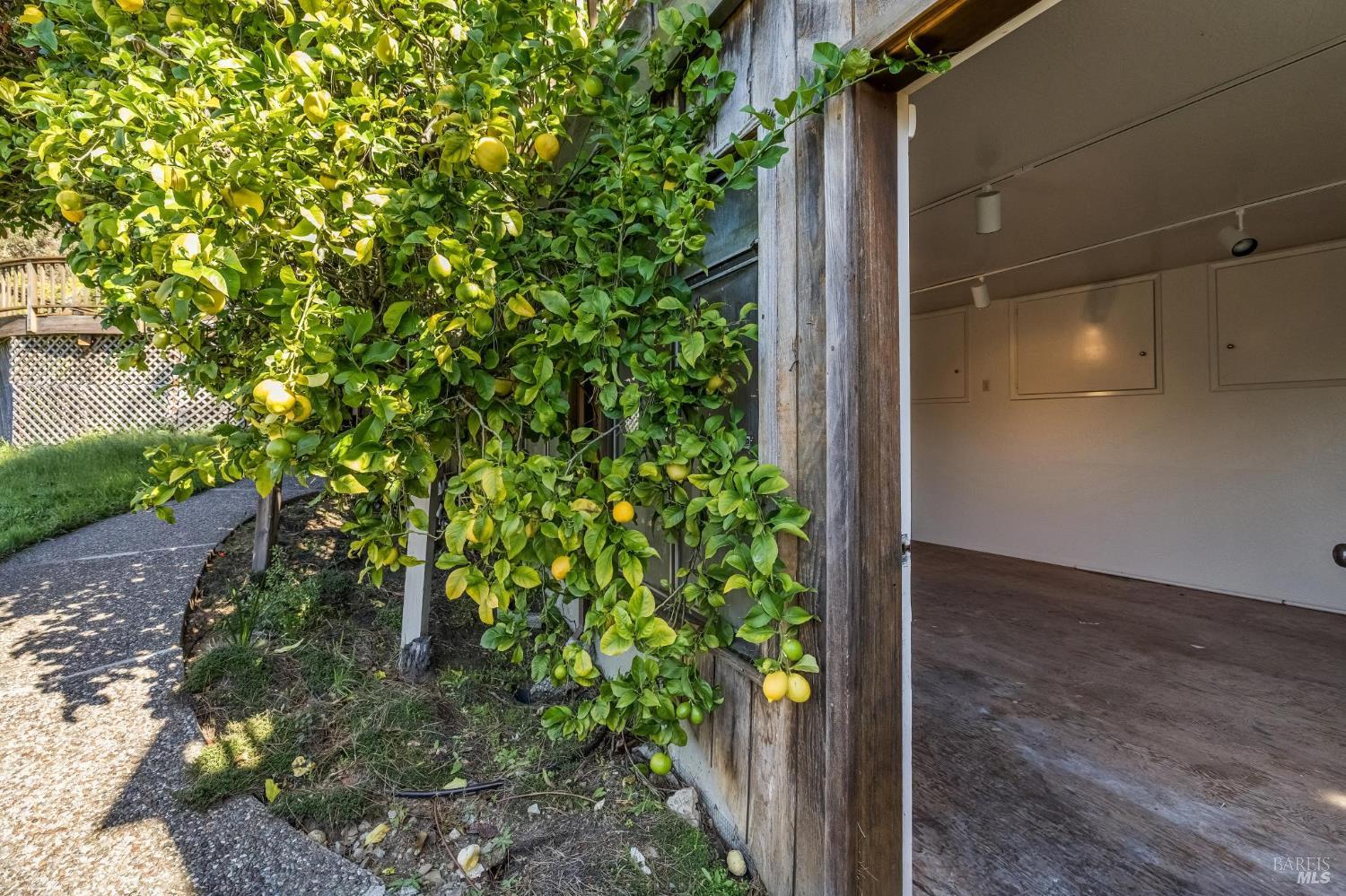 MLS #326018012 img 51