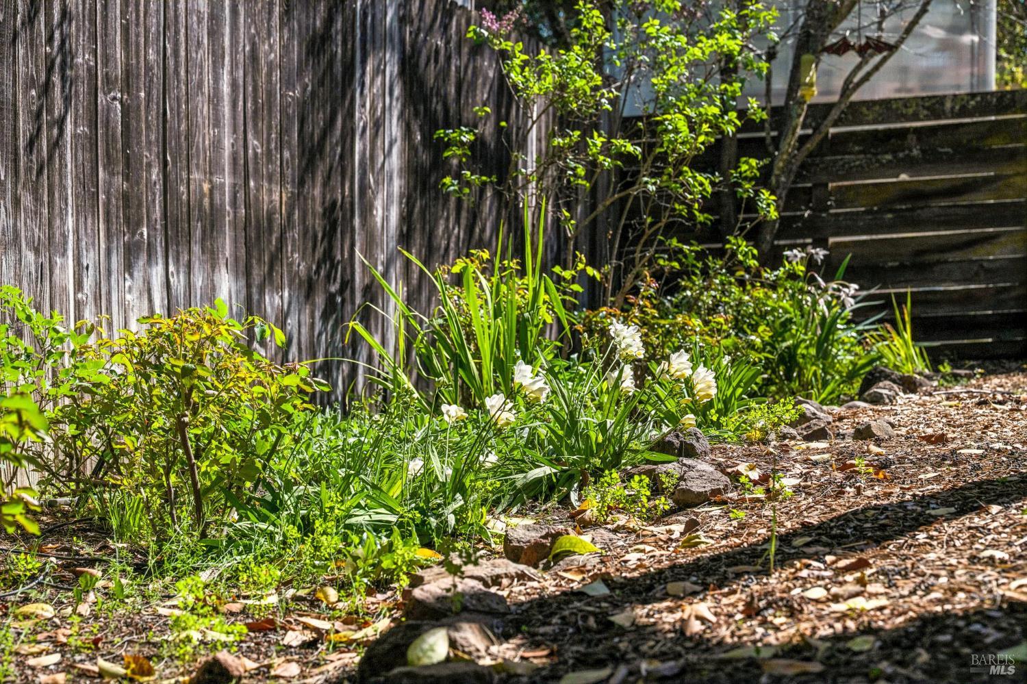 MLS #326018607 img 50