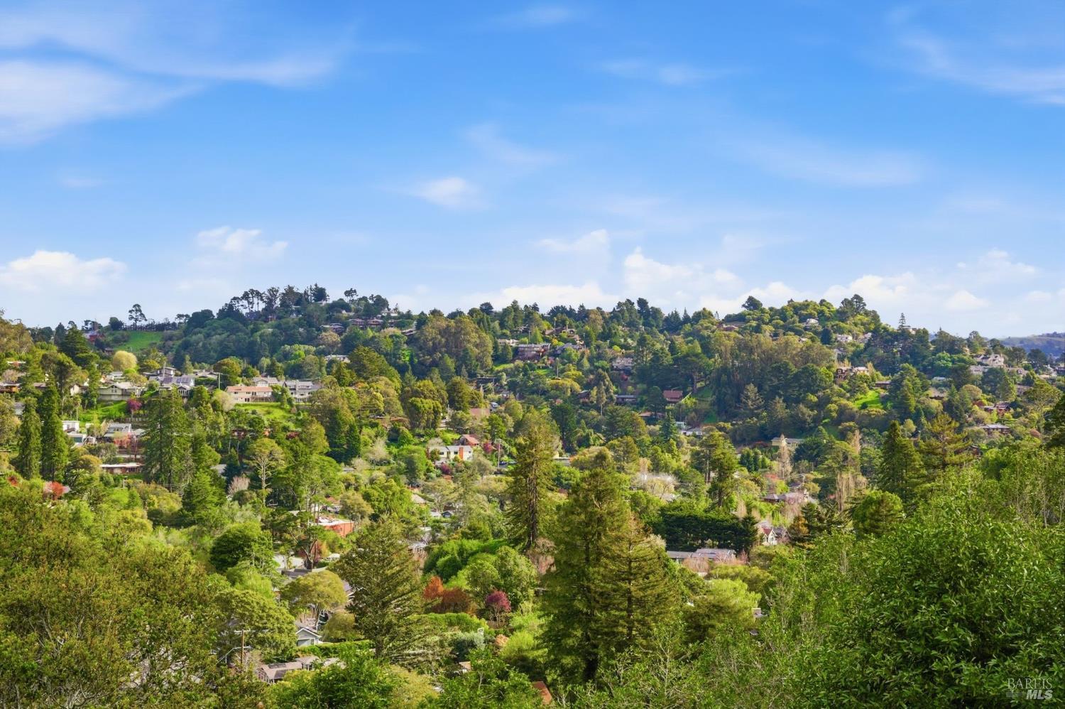 MLS #326019473 img 13