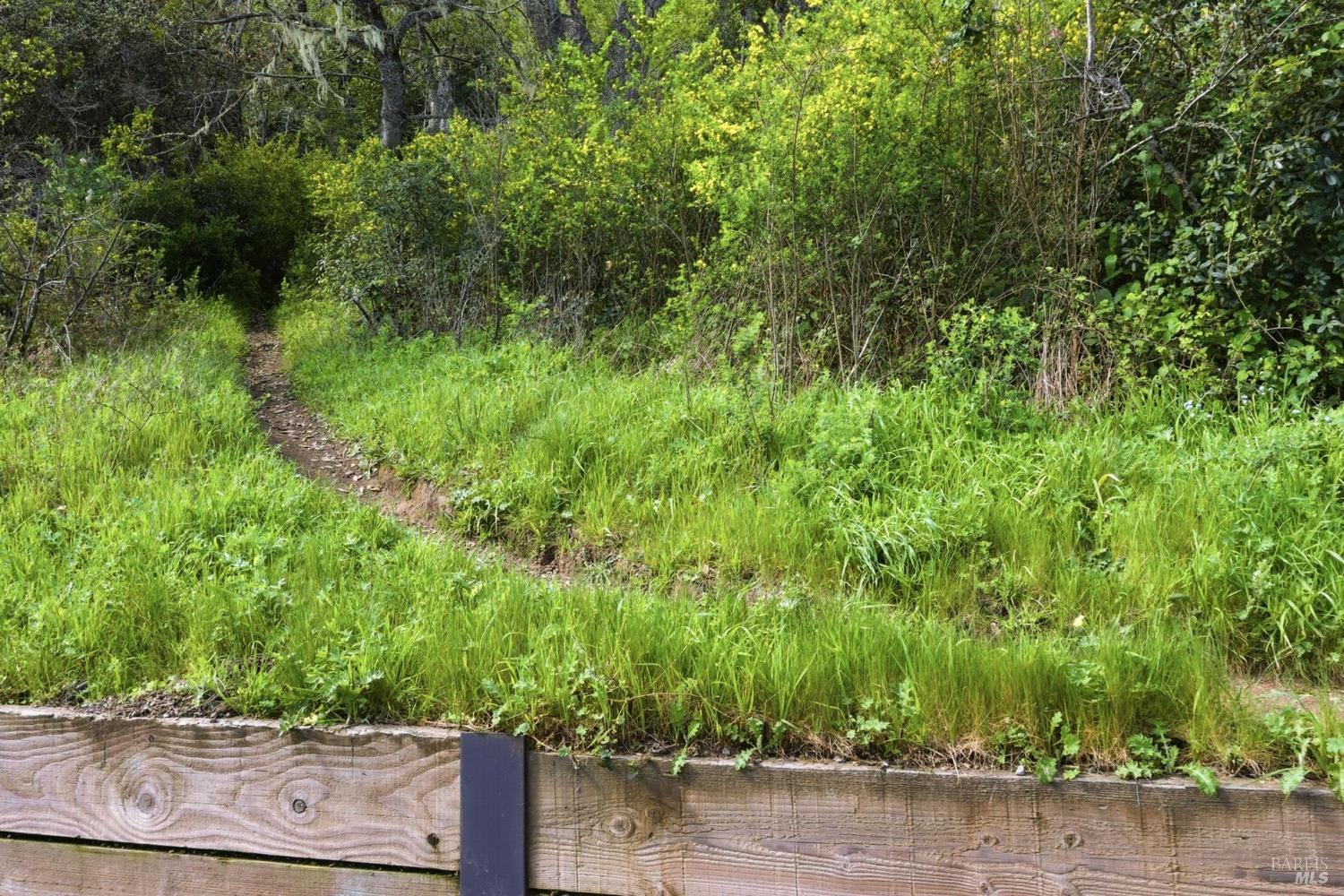 MLS #326019473 img 53