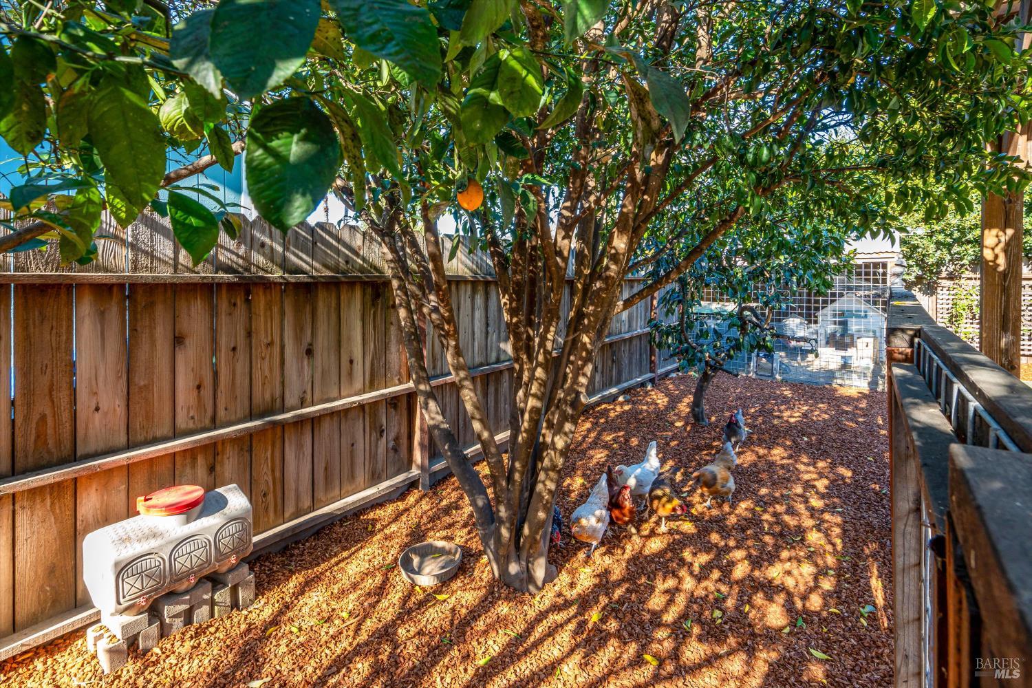 MLS #326019584 img 32