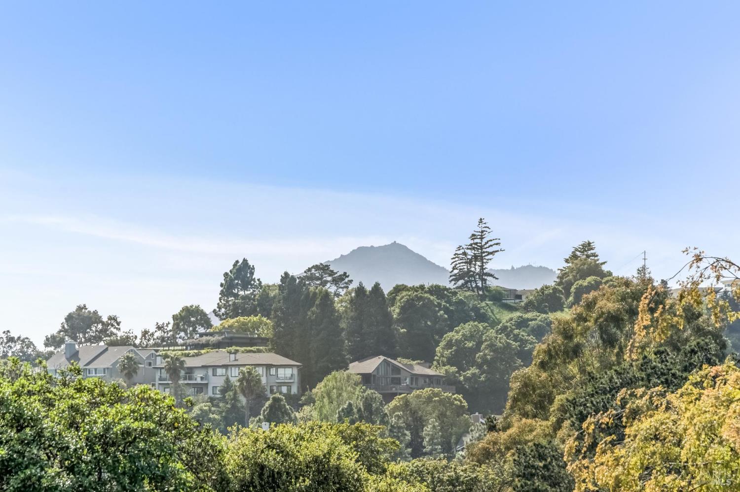 MLS #326019686 img 30