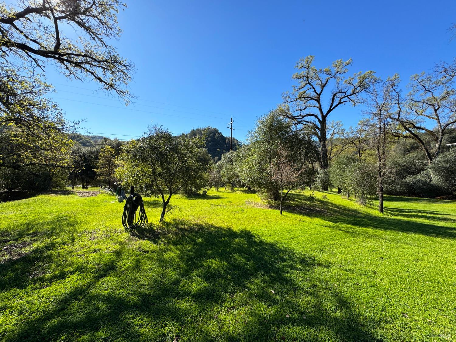 MLS #326021322 img 57