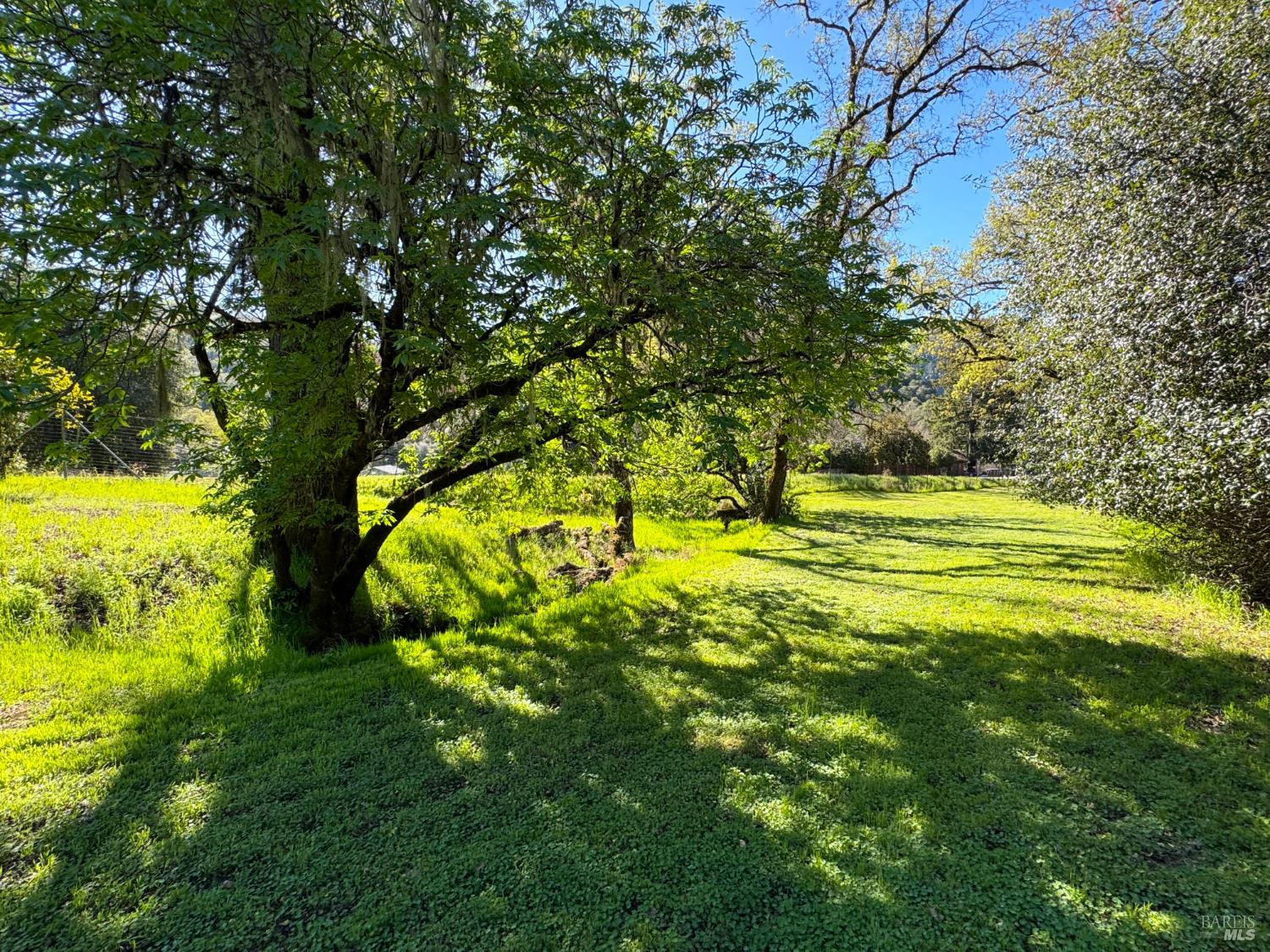 MLS #326021322 img 63