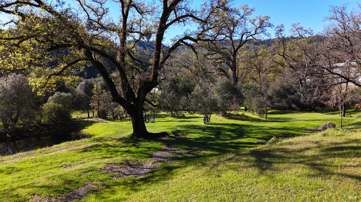 MLS #326021322 img 75