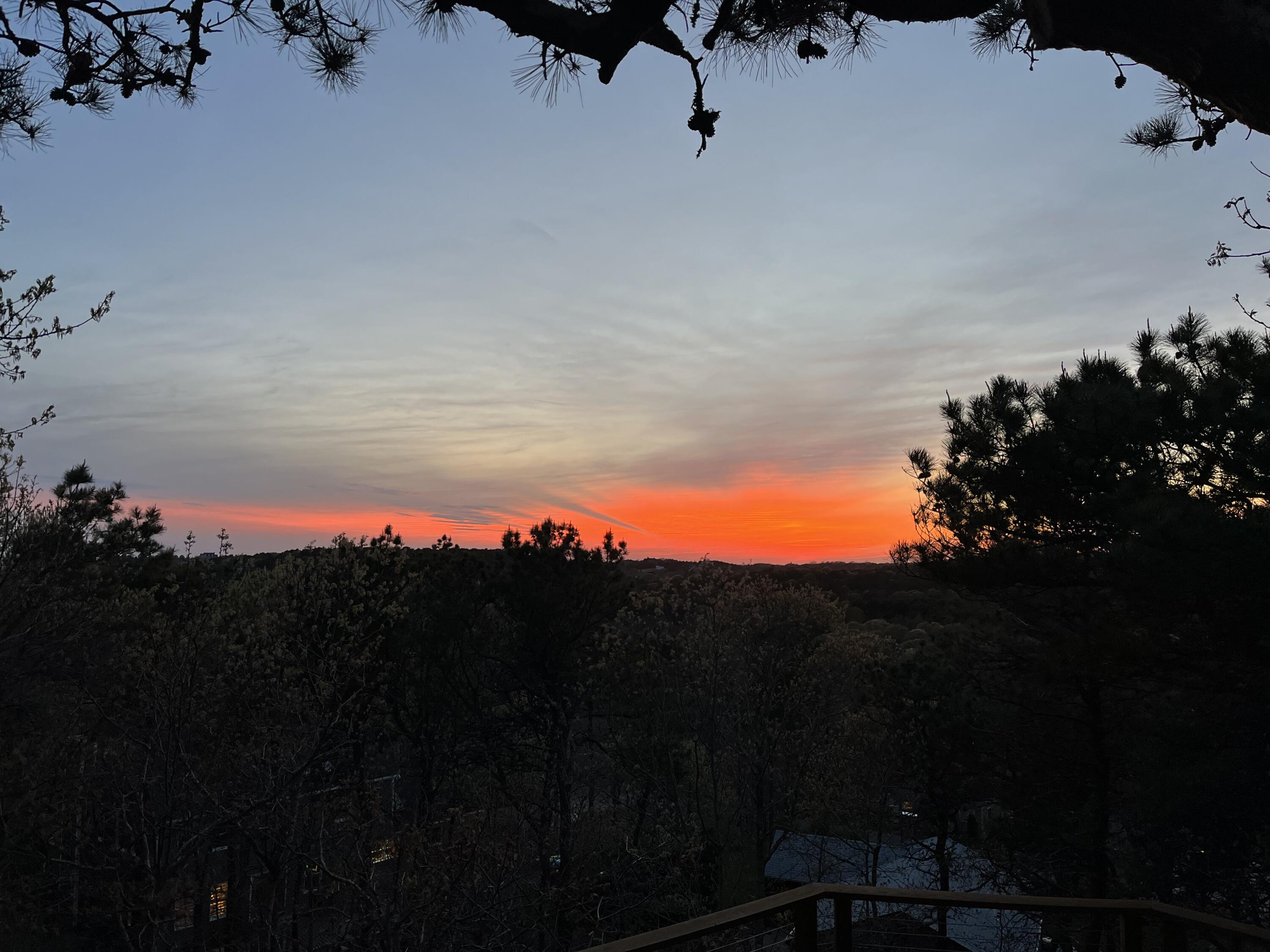 MLS #22404919 image #51