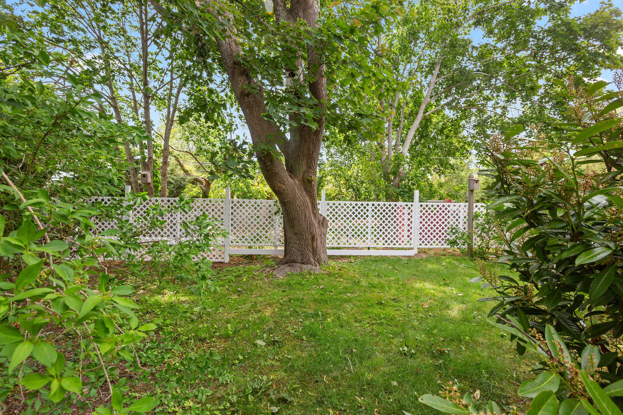 MLS #22502651 image #6