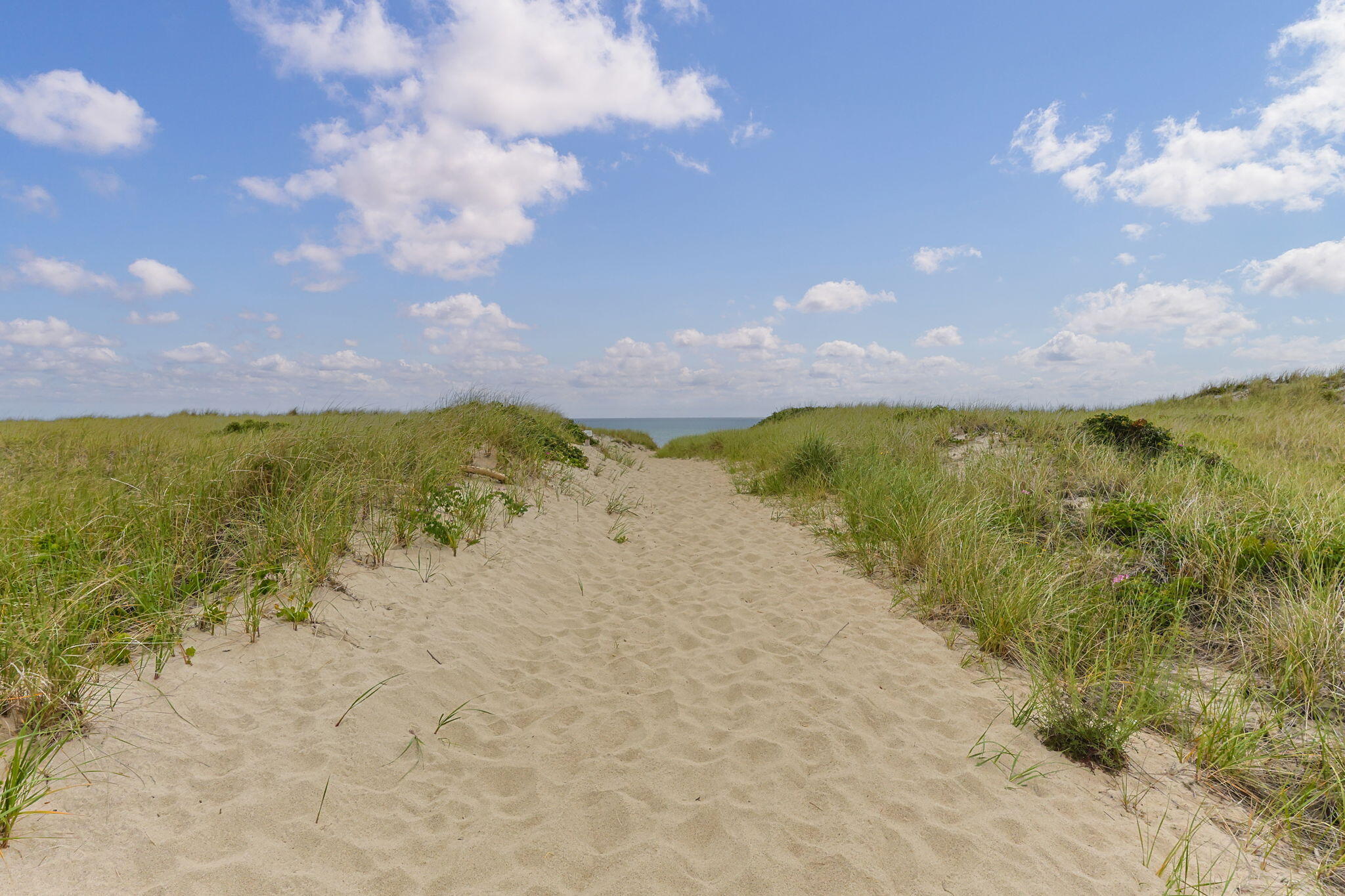 MLS #22503035 image #40