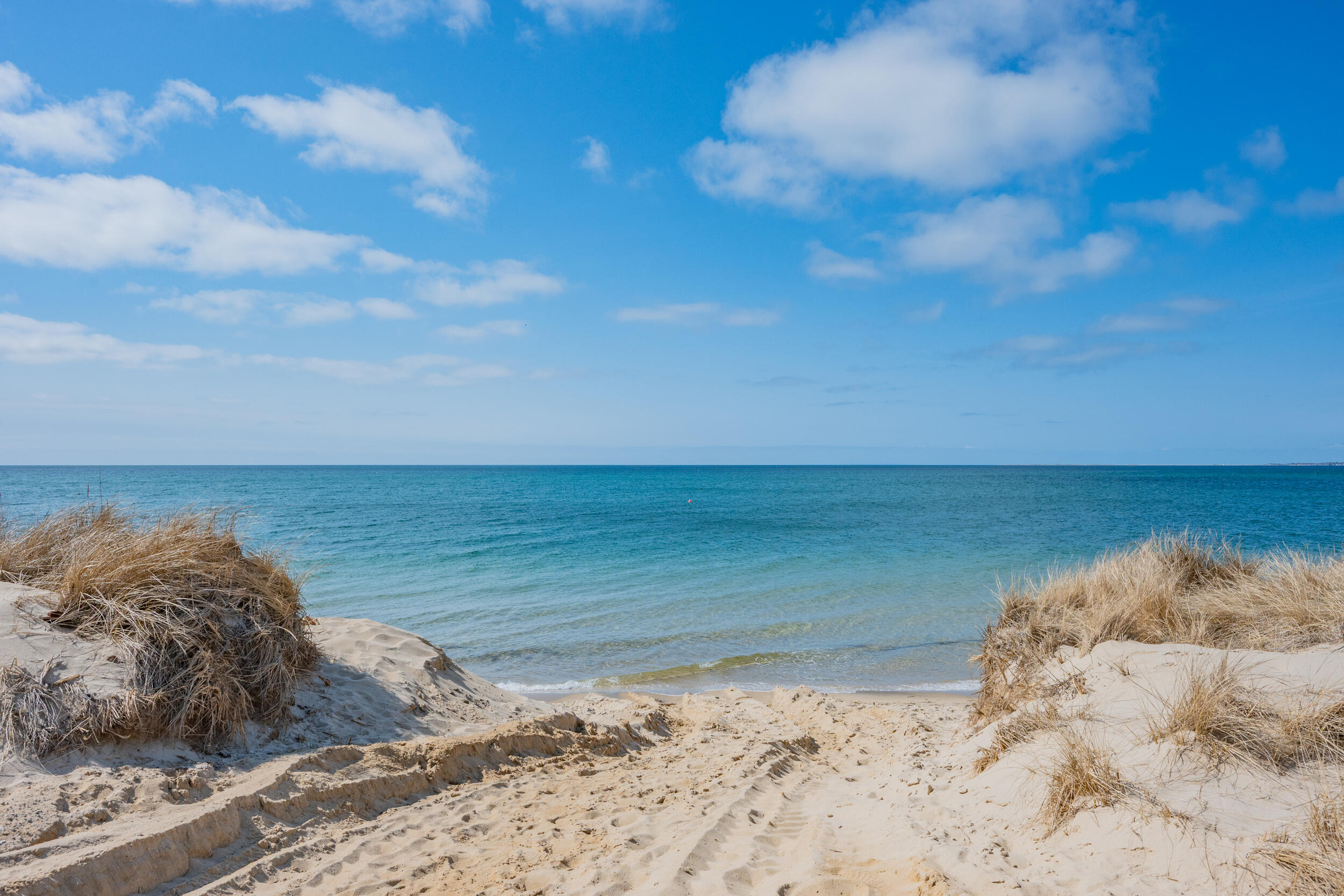 MLS #22503256 image #2