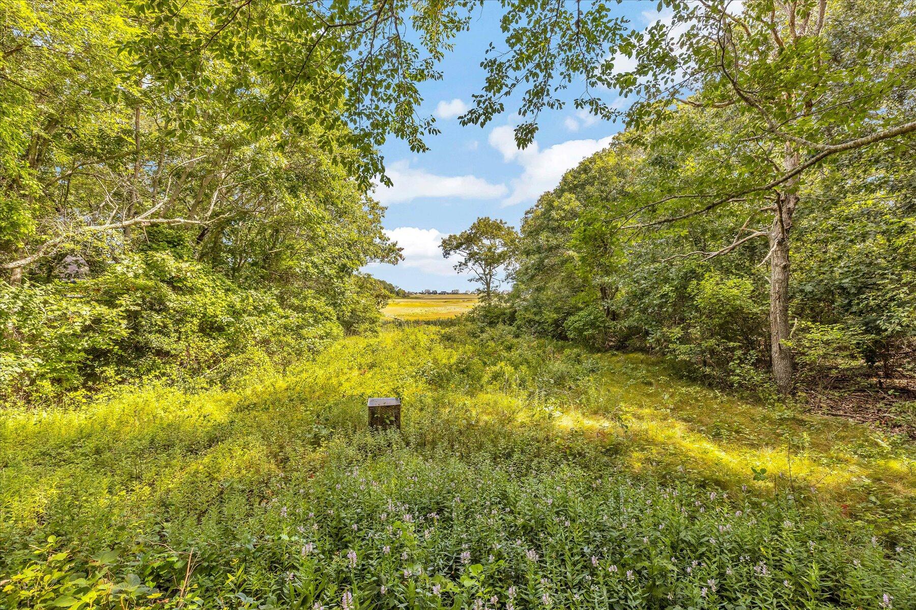 MLS #22503859 image #13