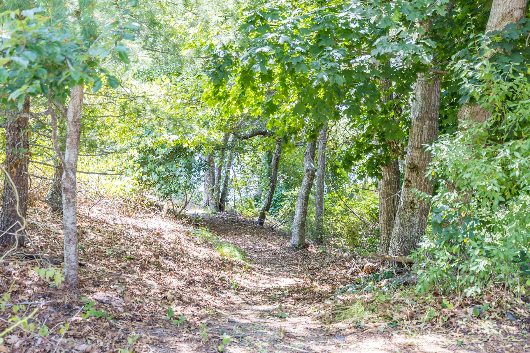 MLS #22503949 image #41