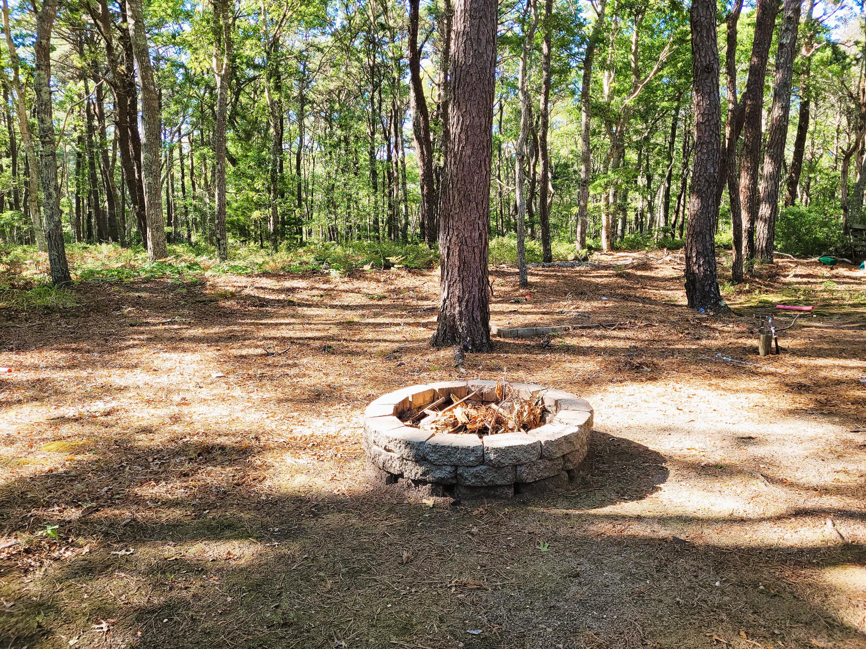 MLS #22504087 image #2