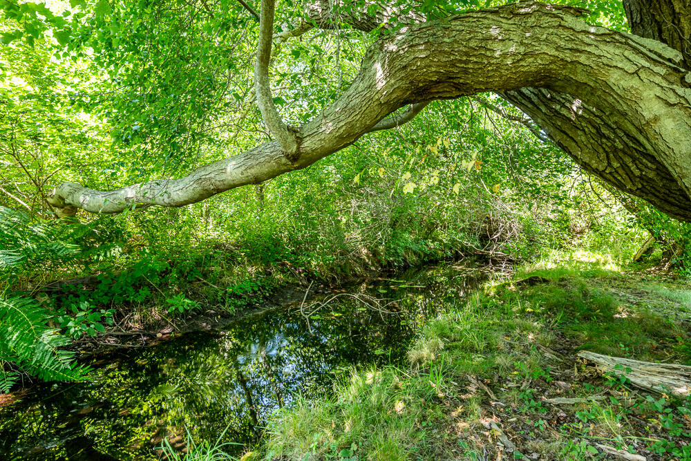 MLS #22504186 image #54