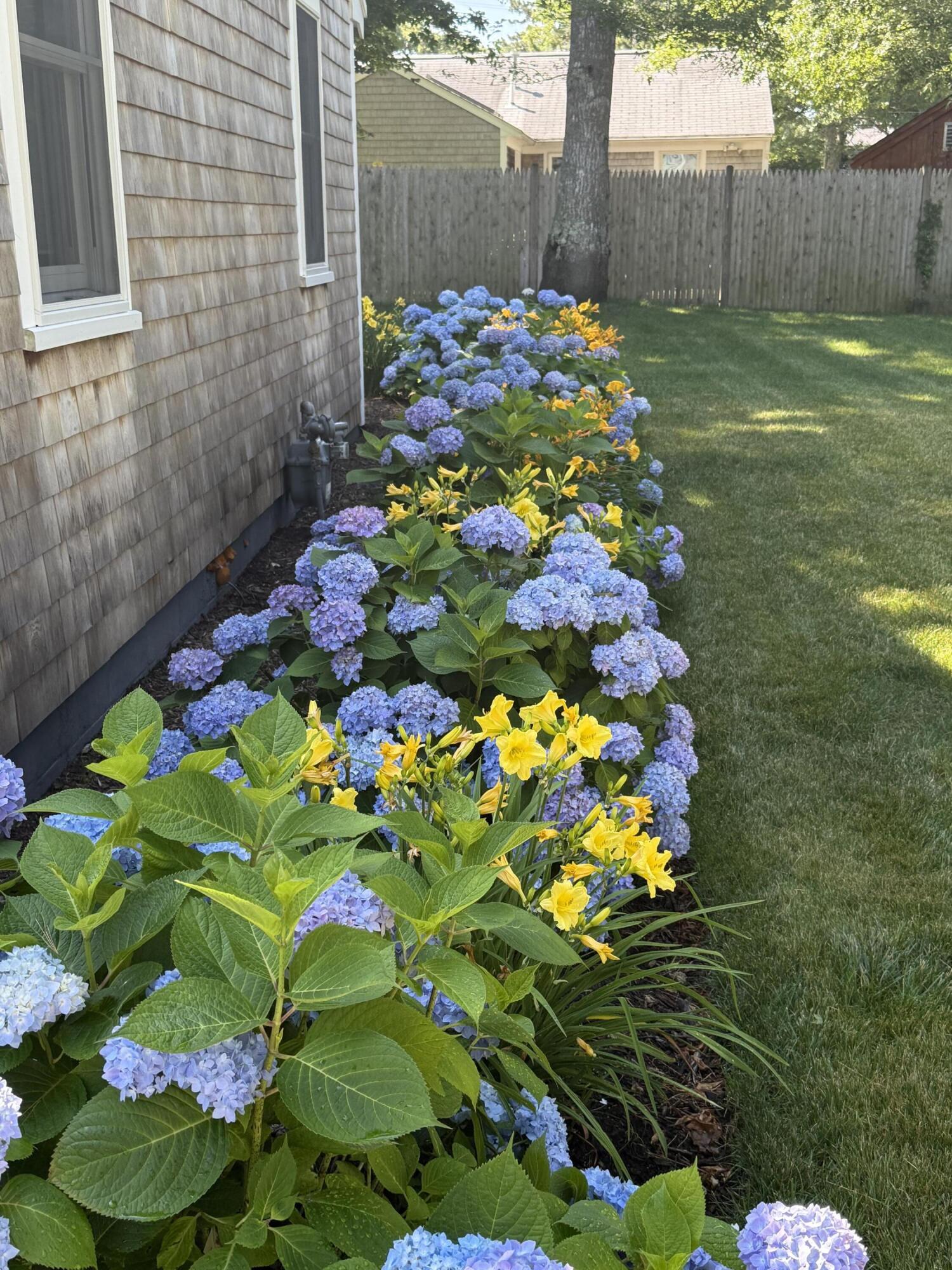 MLS #22504218 img 4