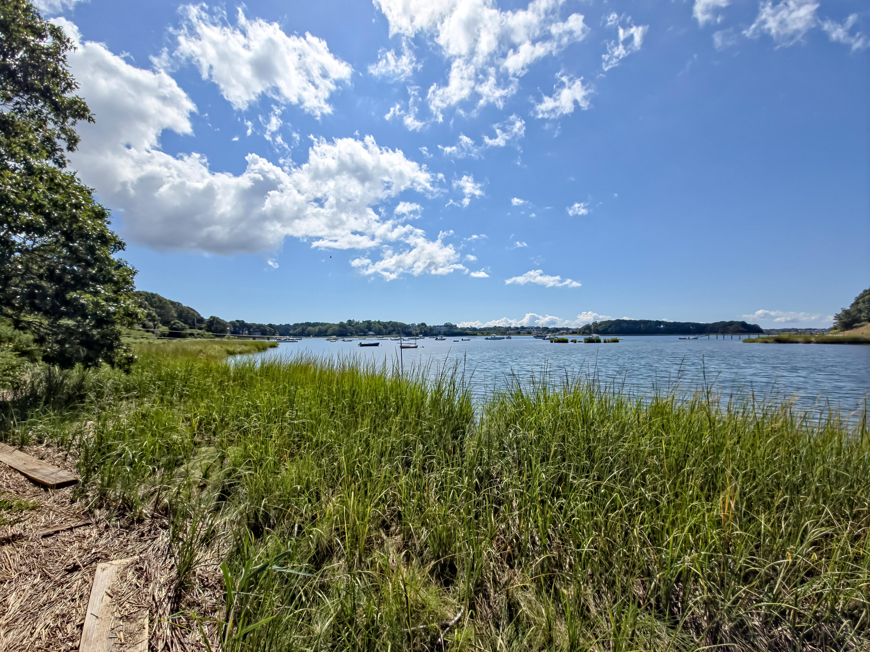 MLS #22504389 image #45