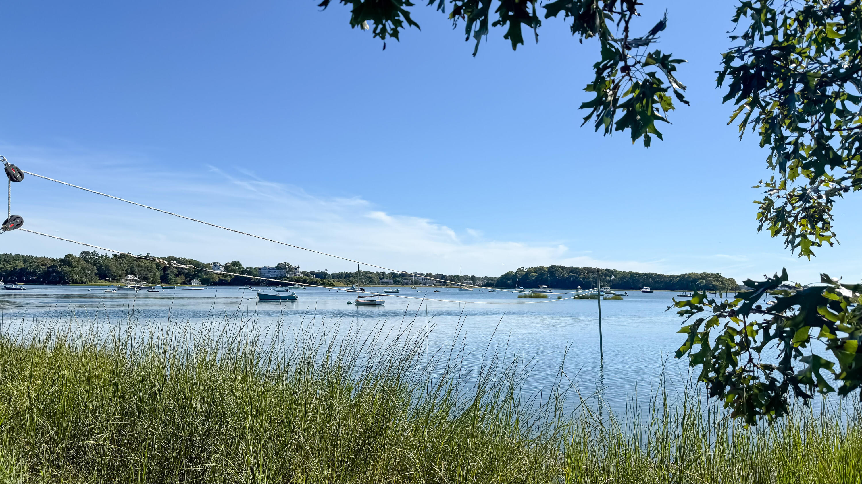 MLS #22504389 image #46