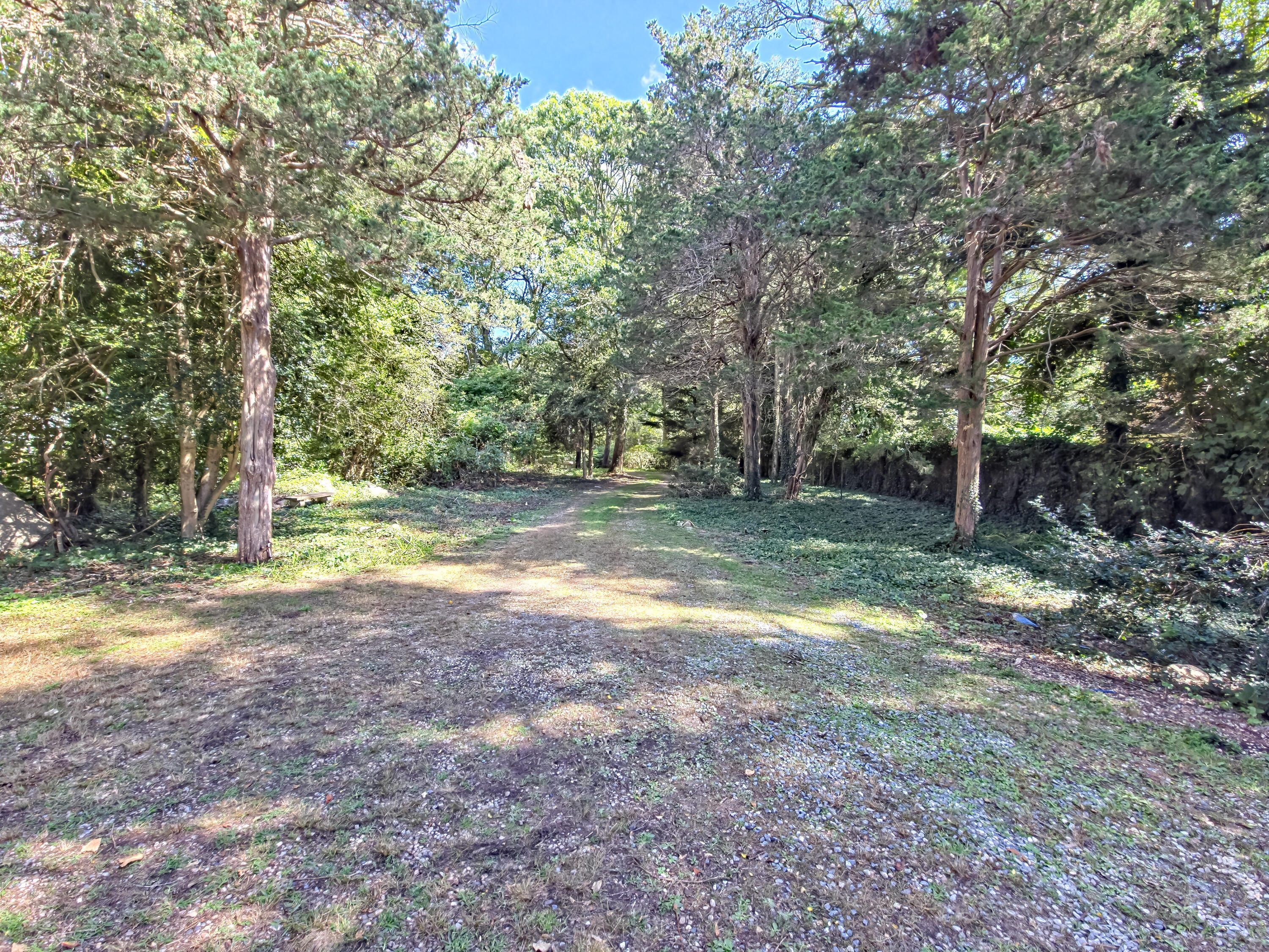 MLS #22504389 image #47