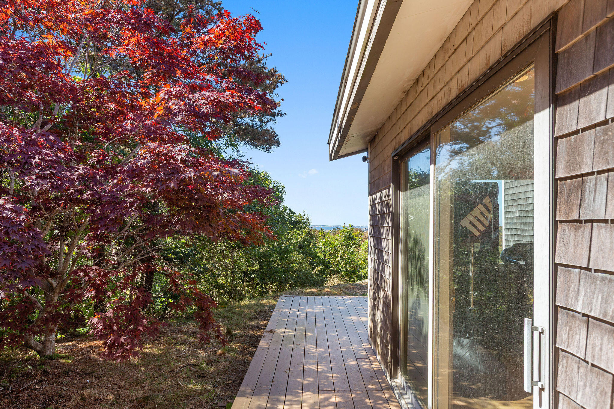 MLS #22504397 image #38